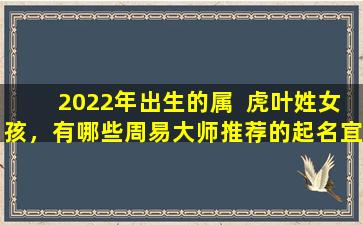 2022年出生的属  虎叶姓女孩，有哪些周易大师推荐的起名宜用字